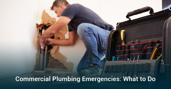 Drain King Plumbers