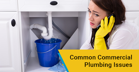 Common Commercial Plumbing Issues