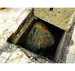 Sewer Root Removal Services