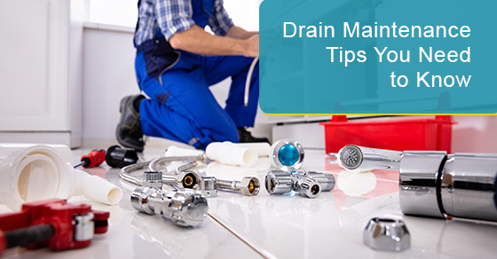 Drain maintenance tips you need to know
