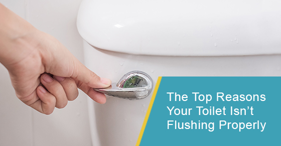 The top reasons your toilet isn’t flushing properly