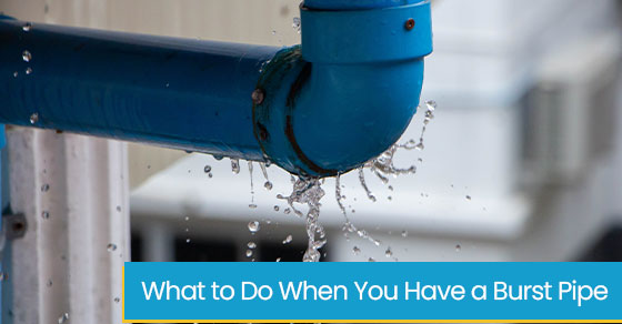 What to do when you have a burst pipe