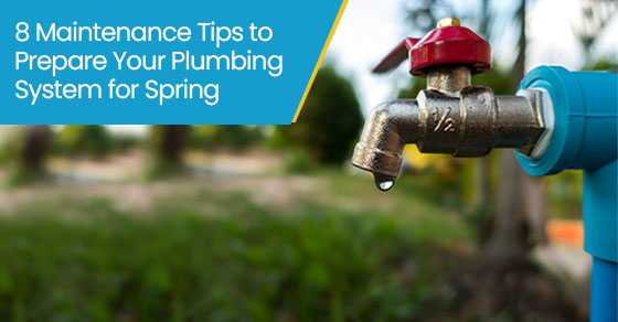 8 maintenance tips to prepare your plumbing system for spring
